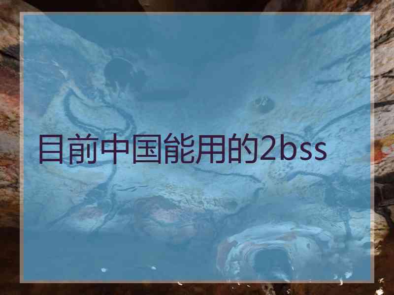 目前中国能用的2bss