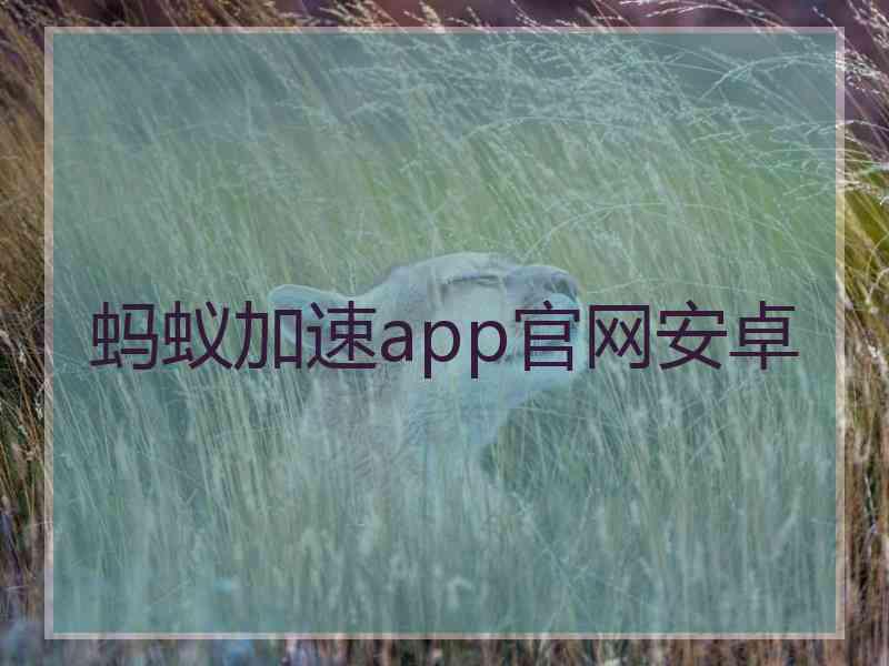 蚂蚁加速app官网安卓