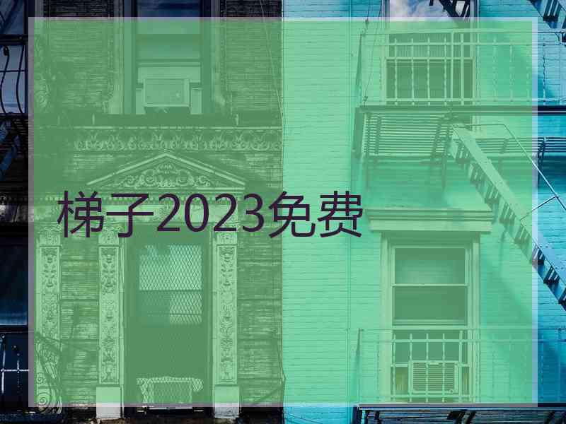 梯子2023免费