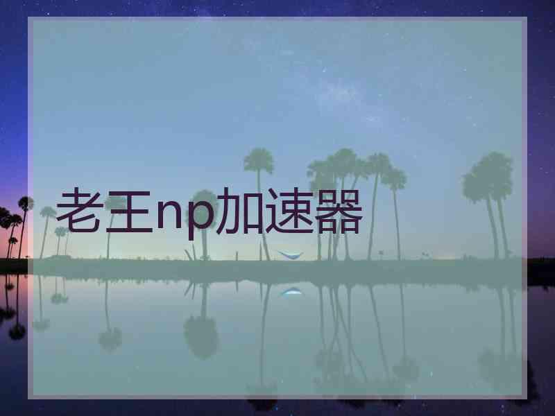 老王np加速器