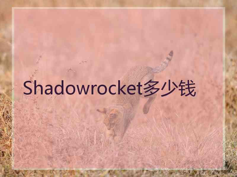 Shadowrocket多少钱