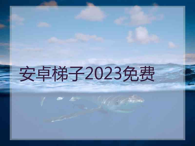 安卓梯子2023免费