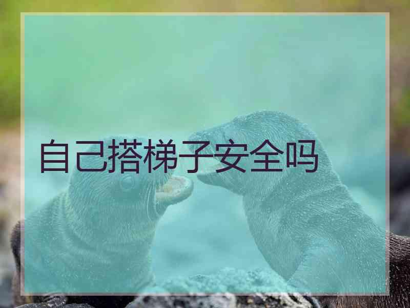 自己搭梯子安全吗