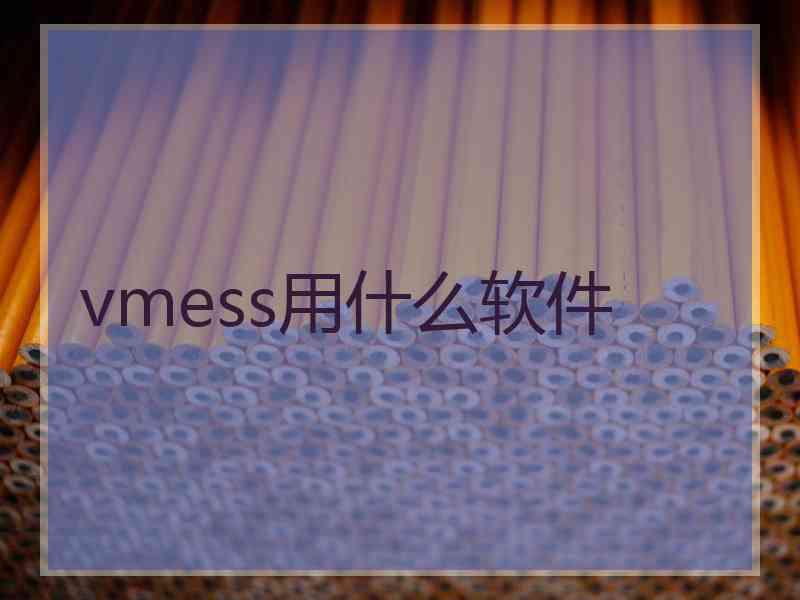 vmess用什么软件