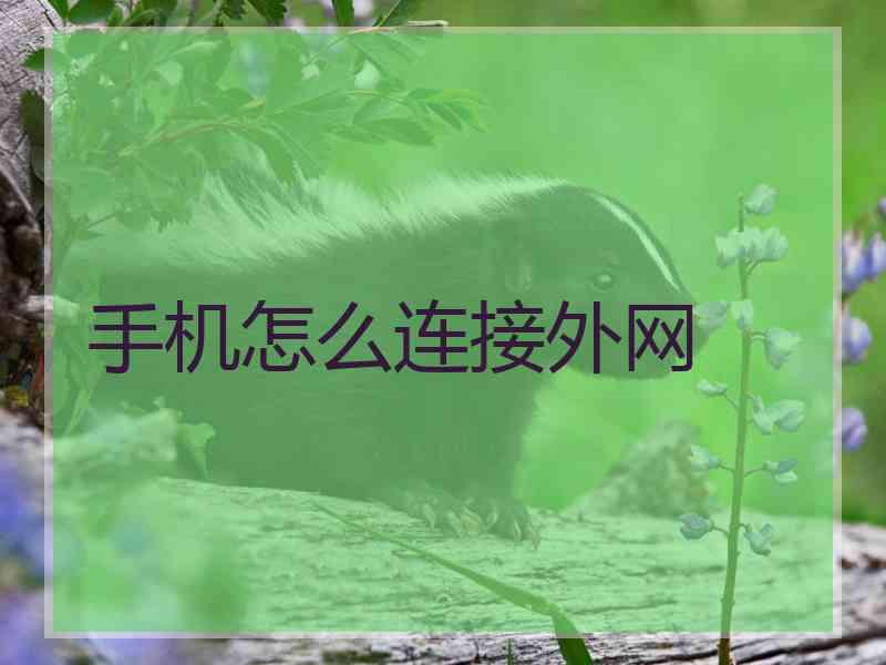 手机怎么连接外网