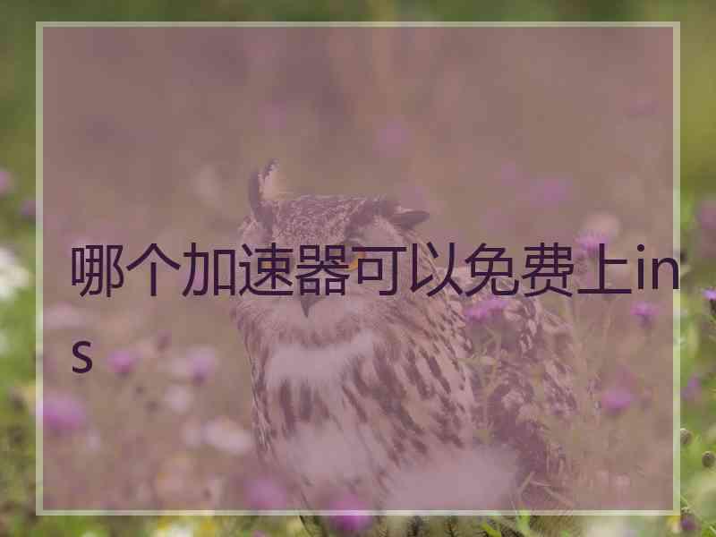哪个加速器可以免费上ins