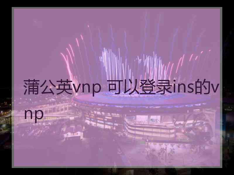 蒲公英vnp 可以登录ins的vnp