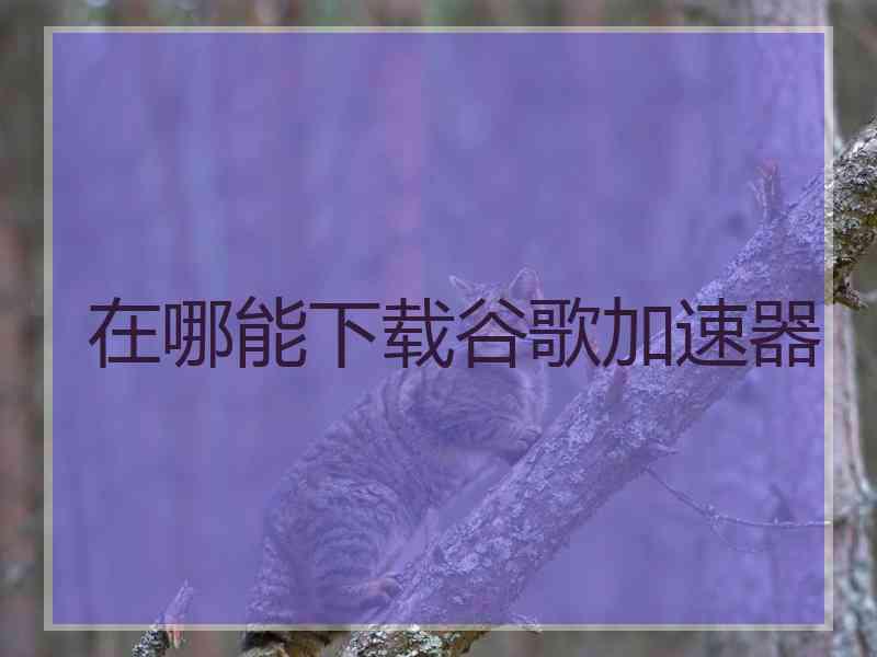 在哪能下载谷歌加速器