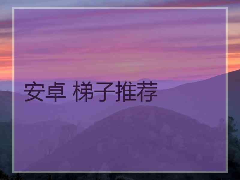 安卓 梯子推荐