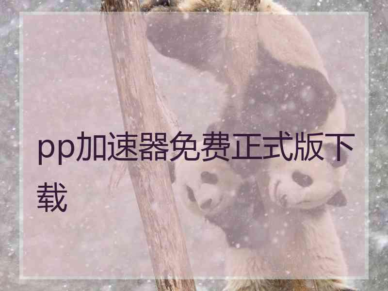 pp加速器免费正式版下载