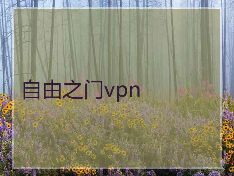 自由之门vpn