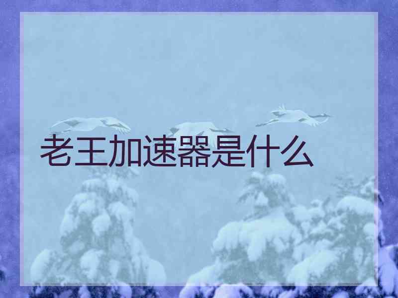 老王加速器是什么