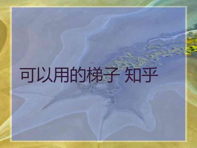 可以用的梯子 知乎