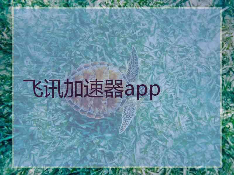 飞讯加速器app