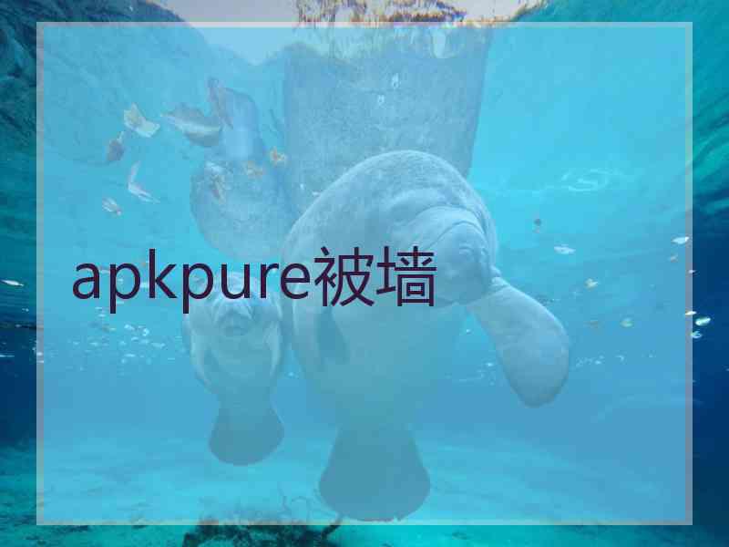apkpure被墙