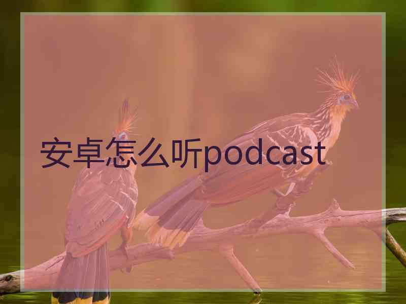 安卓怎么听podcast