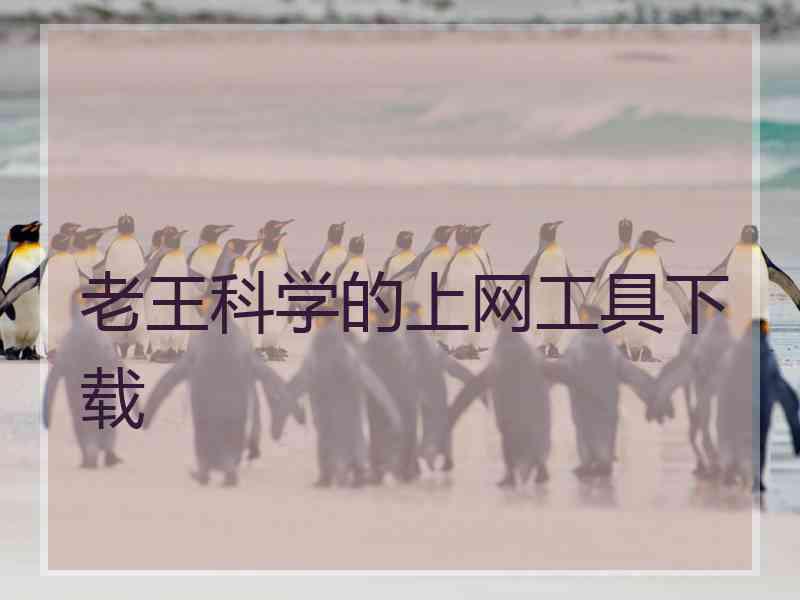 老王科学的上网工具下载