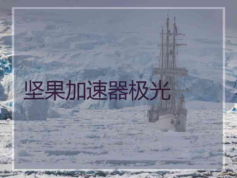 坚果加速器极光