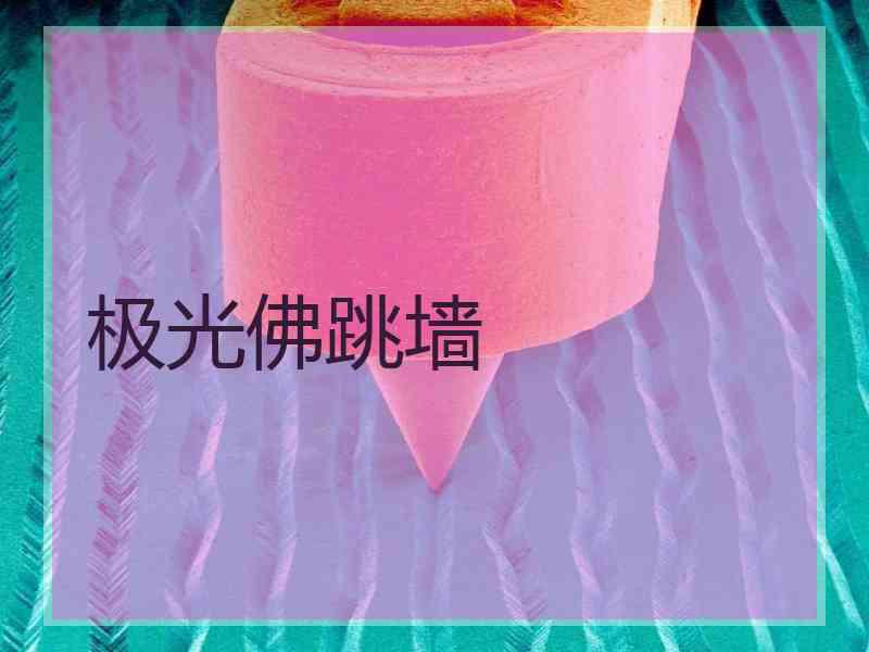 极光佛跳墙