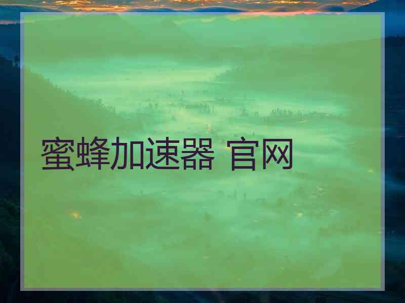 蜜蜂加速器 官网