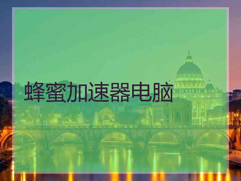 蜂蜜加速器电脑