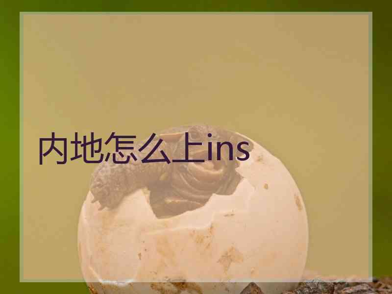 内地怎么上ins
