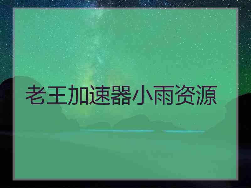 老王加速器小雨资源