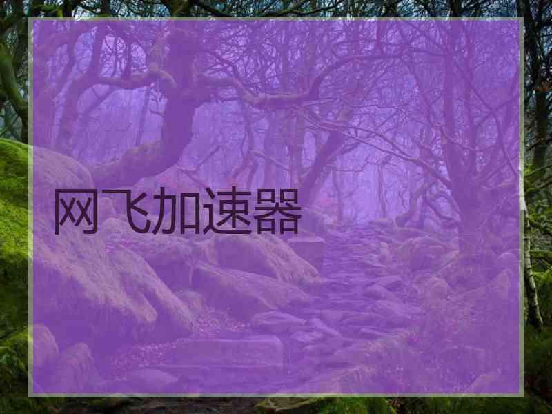 网飞加速器