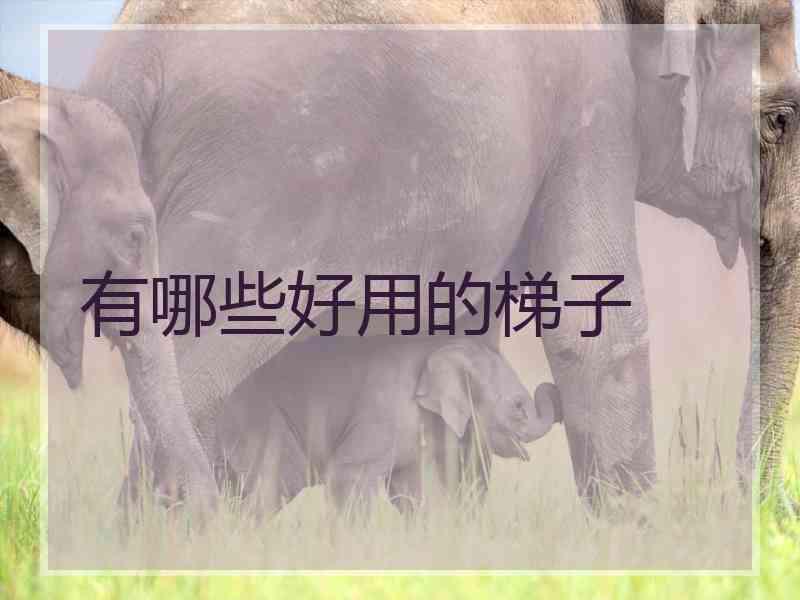 有哪些好用的梯子