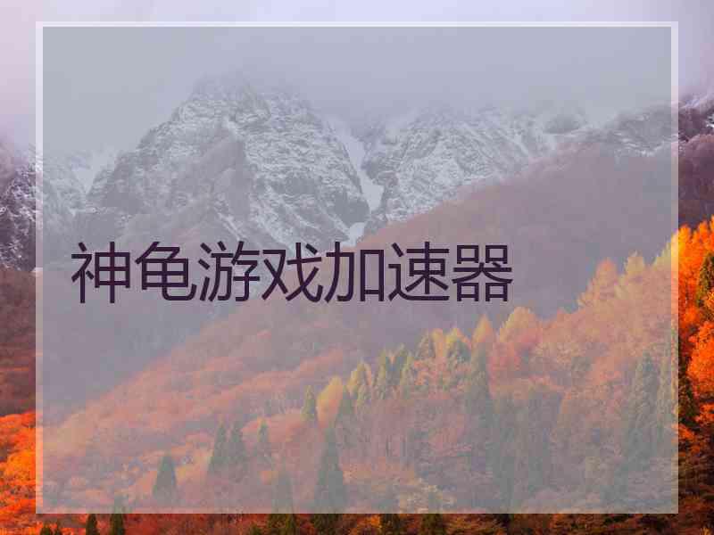 神龟游戏加速器