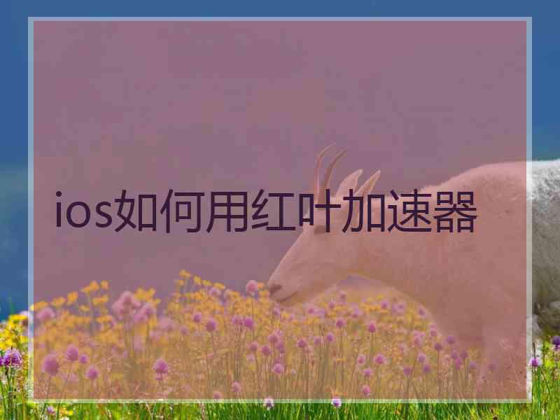 ios如何用红叶加速器