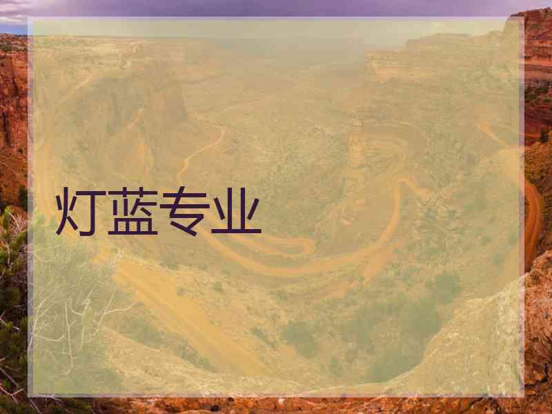 灯蓝专业