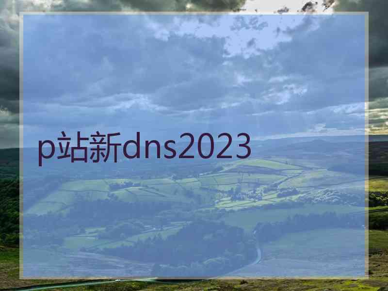 p站新dns2023