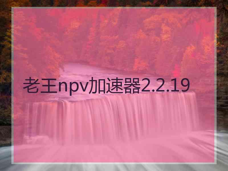 老王npv加速器2.2.19