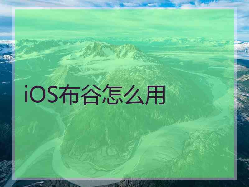 iOS布谷怎么用