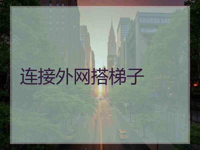 连接外网搭梯子