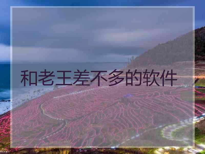 和老王差不多的软件