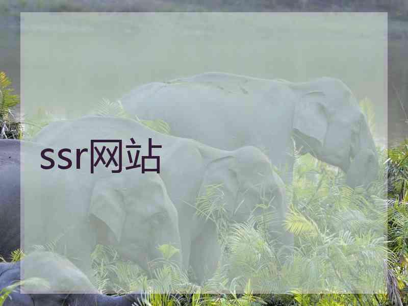 ssr网站