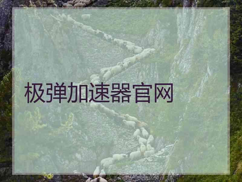 极弹加速器官网