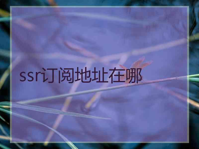 ssr订阅地址在哪