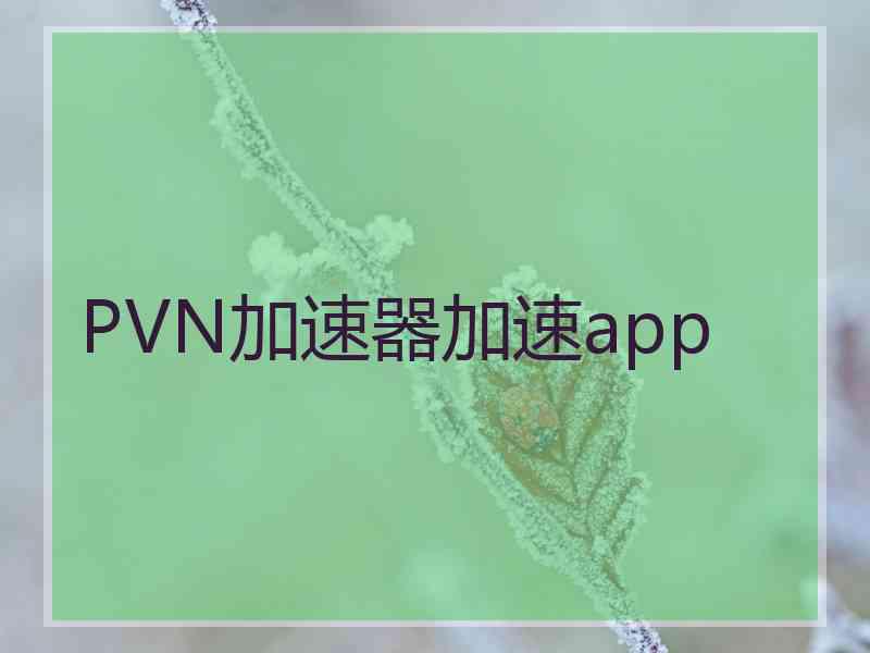 PVN加速器加速app
