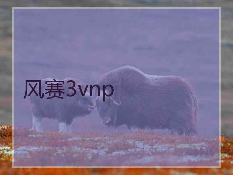 风赛3vnp
