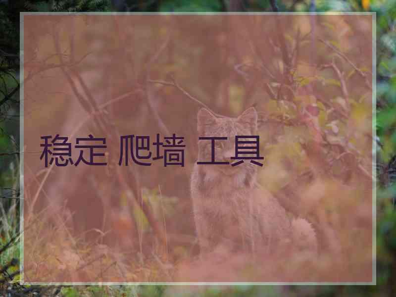 稳定 爬墙 工具