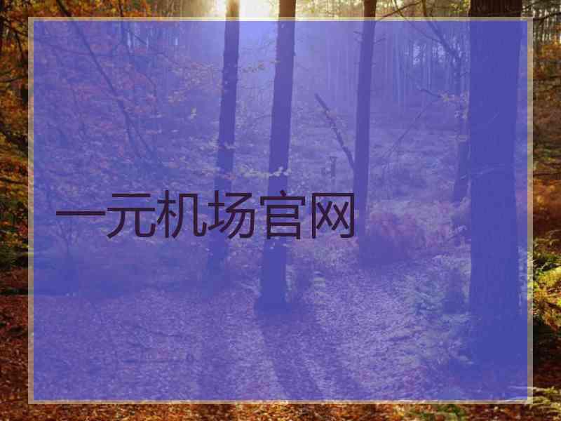 一元机场官网