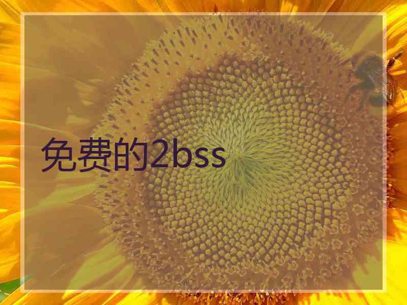 免费的2bss