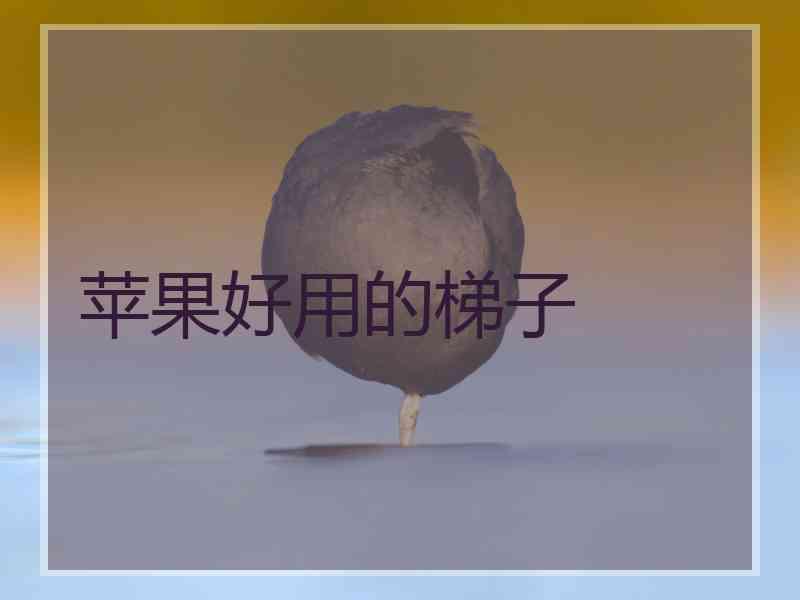 苹果好用的梯子