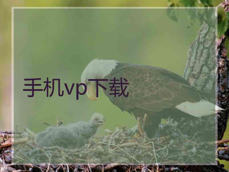 手机vp下载