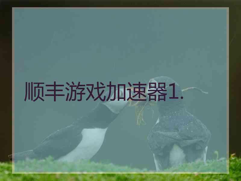 顺丰游戏加速器1.