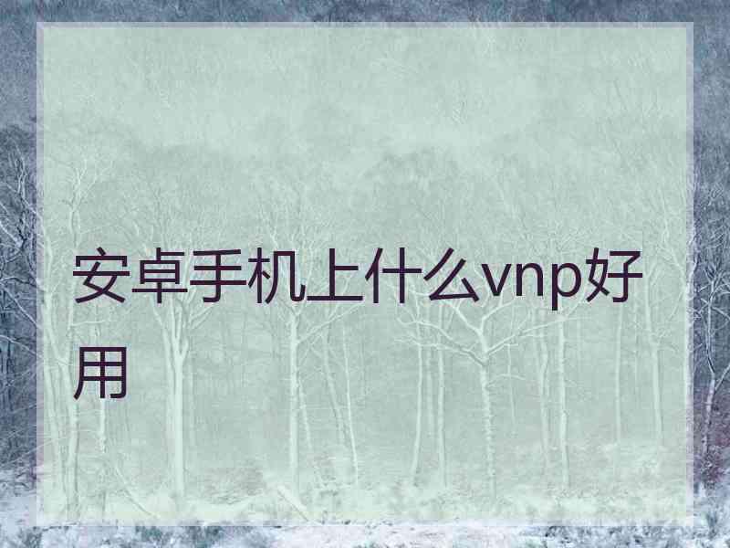 安卓手机上什么vnp好用