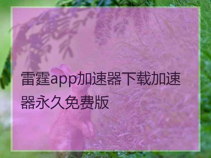 雷霆app加速器下载加速器永久免费版